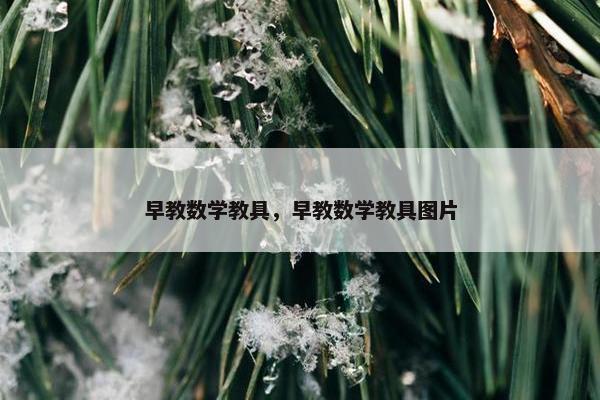 早教数学教具，早教数学教具图片