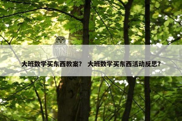大班数学买东西教案？ 大班数学买东西活动反思？