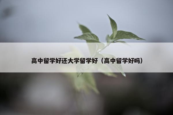 高中留学好还大学留学好（高中留学好吗）