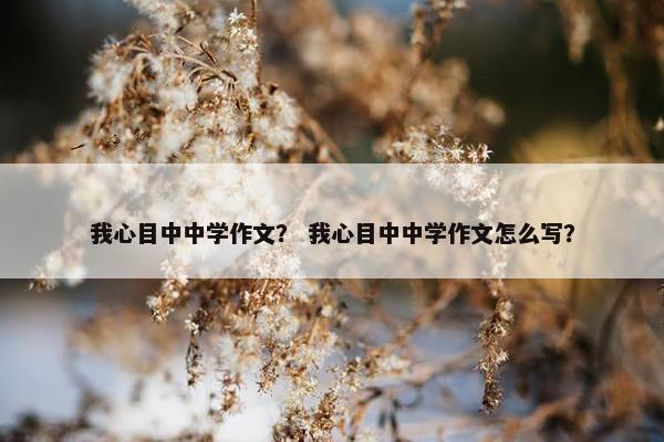 我心目中中学作文？ 我心目中中学作文怎么写？