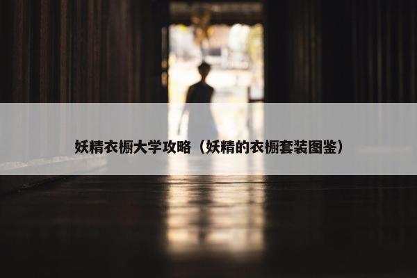 妖精衣橱大学攻略（妖精的衣橱套装图鉴）