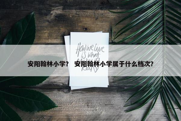 安阳翰林小学？ 安阳翰林小学属于什么档次？