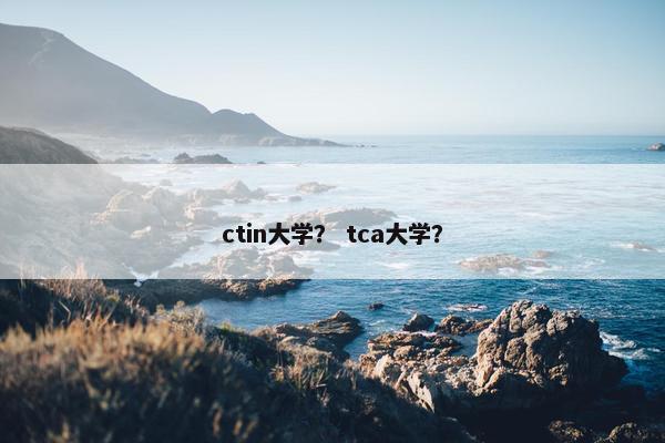 ctin大学？ tca大学？