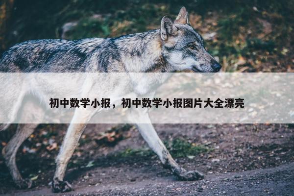 初中数学小报，初中数学小报图片大全漂亮