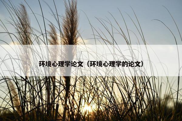 环境心理学论文（环境心理学的论文）