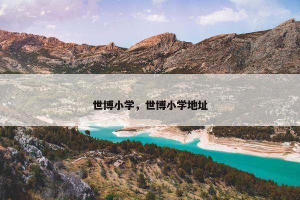 世博小学，世博小学地址