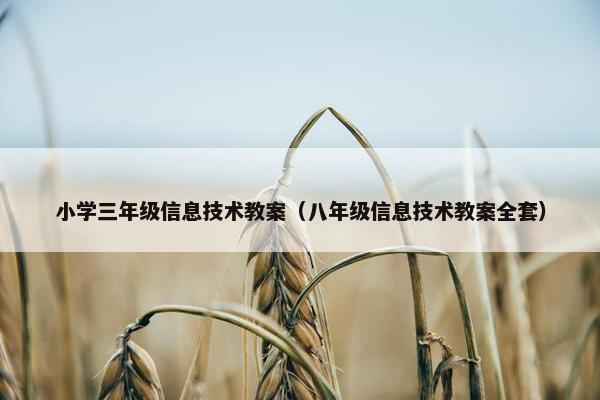小学三年级信息技术教案（八年级信息技术教案全套）