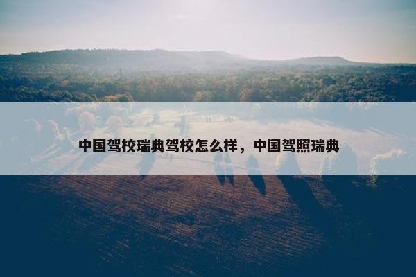 中国驾校瑞典驾校怎么样，中国驾照瑞典