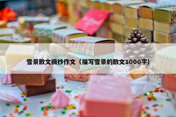 雪景散文摘抄作文（描写雪景的散文1000字）