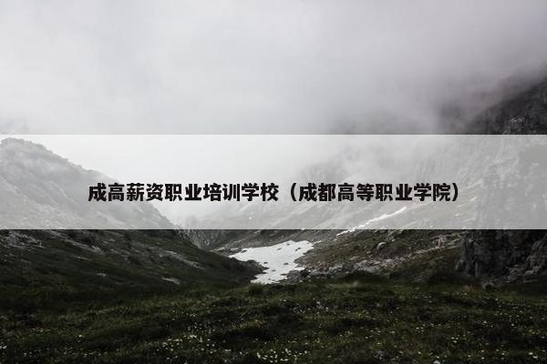 成高薪资职业培训学校（成都高等职业学院）