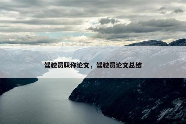 驾驶员职称论文，驾驶员论文总结