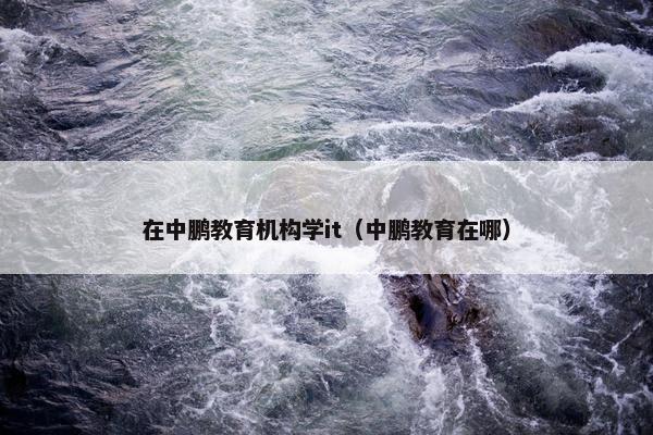 在中鹏教育机构学it（中鹏教育在哪）