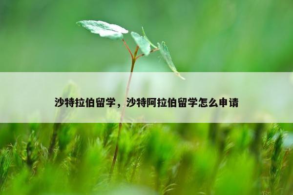 沙特拉伯留学，沙特阿拉伯留学怎么申请