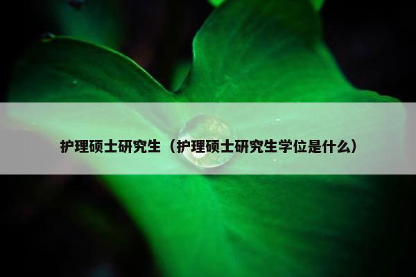 护理硕士研究生（护理硕士研究生学位是什么）