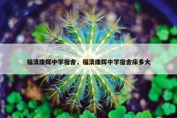 福清康辉中学宿舍，福清康辉中学宿舍床多大