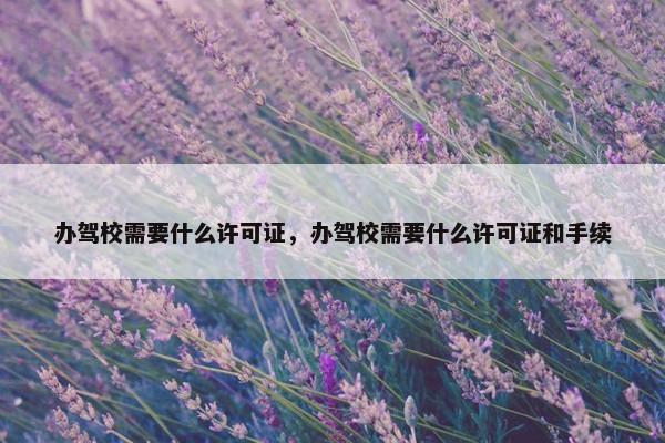 办驾校需要什么许可证，办驾校需要什么许可证和手续