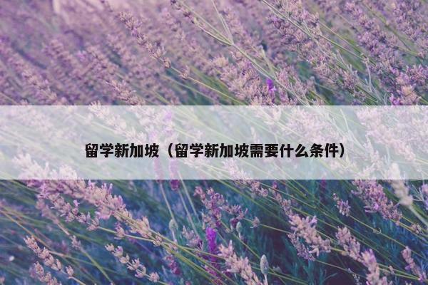 留学新加坡（留学新加坡需要什么条件）