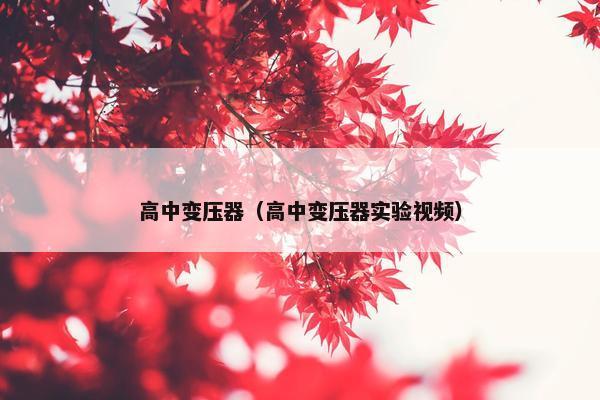 高中变压器（高中变压器实验视频）