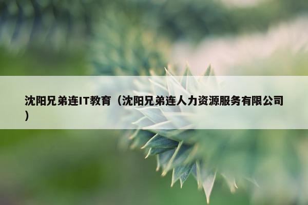 沈阳兄弟连IT教育（沈阳兄弟连人力资源服务有限公司）