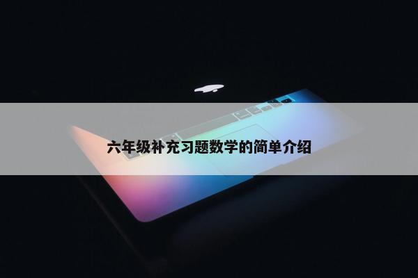 六年级补充习题数学的简单介绍