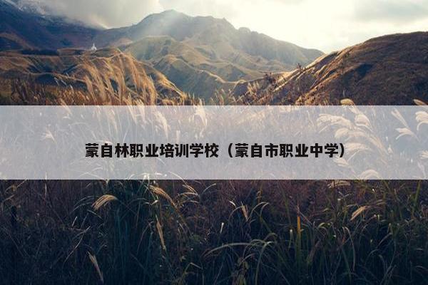 蒙自林职业培训学校（蒙自市职业中学）
