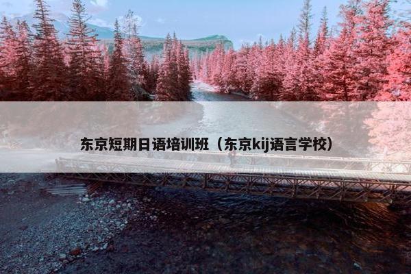东京短期日语培训班（东京kij语言学校）