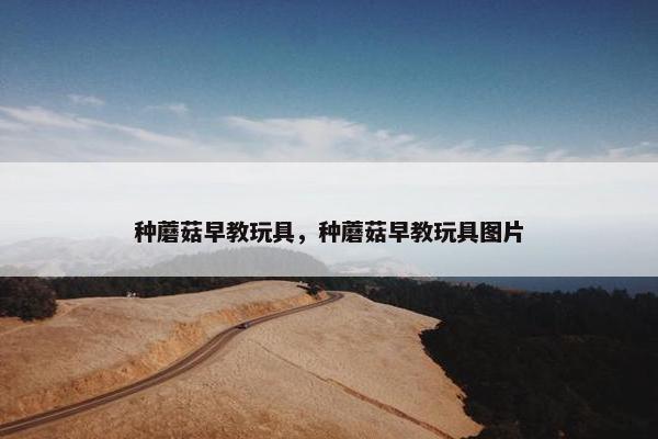 种蘑菇早教玩具，种蘑菇早教玩具图片