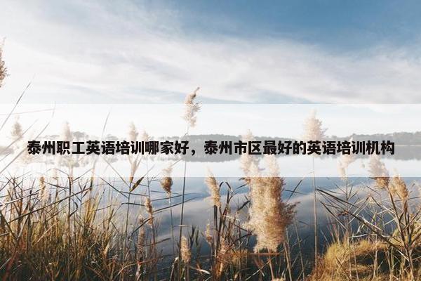 泰州职工英语培训哪家好，泰州市区最好的英语培训机构