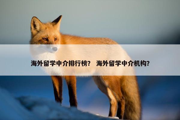 海外留学中介排行榜？ 海外留学中介机构？