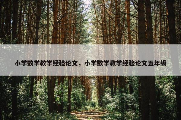 小学数学教学经验论文，小学数学教学经验论文五年级