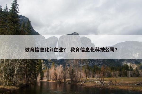 教育信息化it企业？ 教育信息化科技公司？