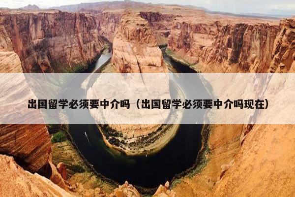 出国留学必须要中介吗（出国留学必须要中介吗现在）