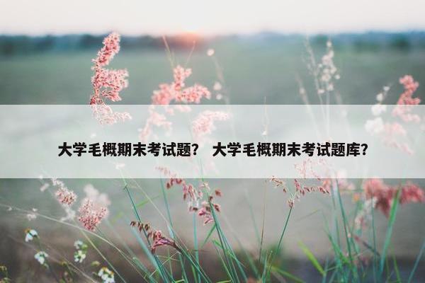 大学毛概期末考试题？ 大学毛概期末考试题库？