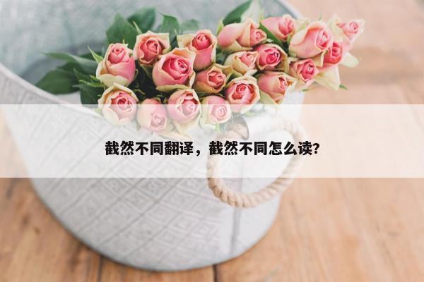 截然不同翻译，截然不同怎么读?