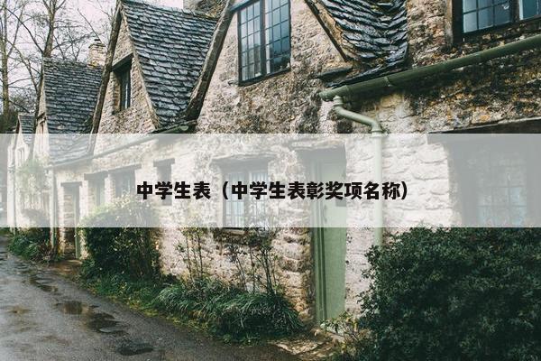 中学生表（中学生表彰奖项名称）