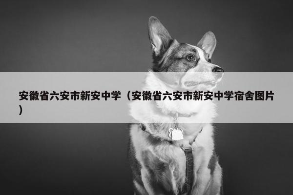 安徽省六安市新安中学（安徽省六安市新安中学宿舍图片）
