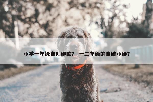小学一年级自创诗歌？ 一二年级的自编小诗？