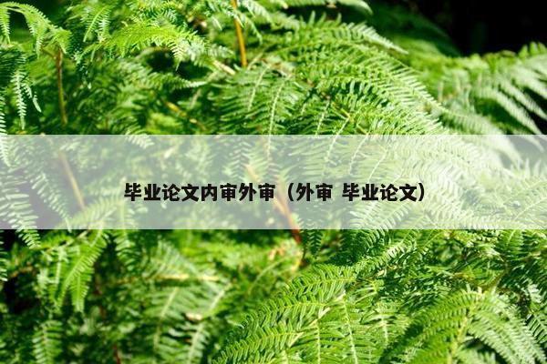 毕业论文内审外审（外审 毕业论文）