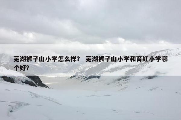 芜湖狮子山小学怎么样？ 芜湖狮子山小学和育红小学哪个好？