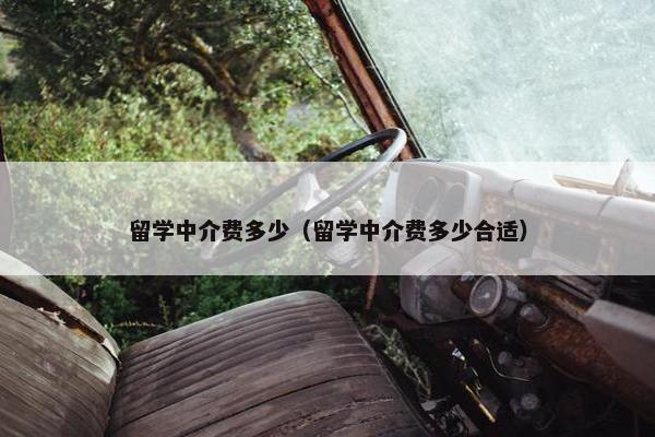 留学中介费多少（留学中介费多少合适）