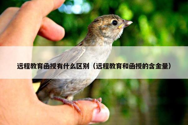 远程教育函授有什么区别（远程教育和函授的含金量）