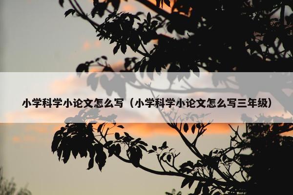 小学科学小论文怎么写（小学科学小论文怎么写三年级）
