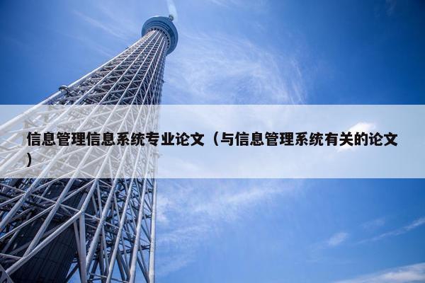 信息管理信息系统专业论文（与信息管理系统有关的论文）