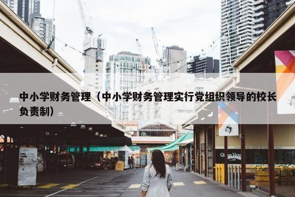 中小学财务管理（中小学财务管理实行党组织领导的校长负责制）