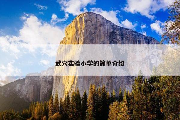 武穴实验小学的简单介绍