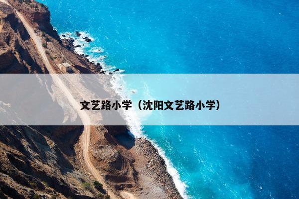 文艺路小学（沈阳文艺路小学）