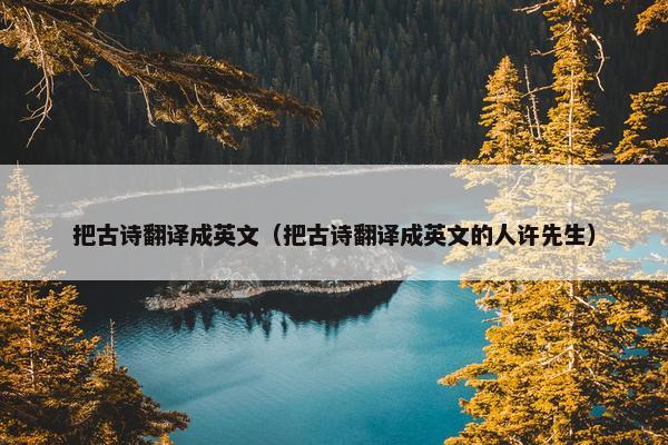 把古诗翻译成英文（把古诗翻译成英文的人许先生）