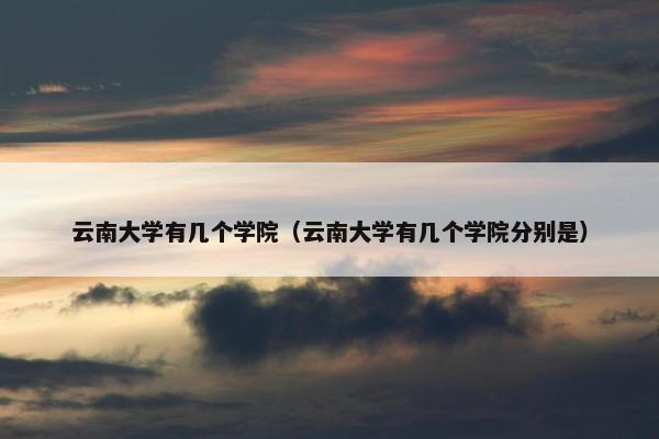 云南大学有几个学院（云南大学有几个学院分别是）