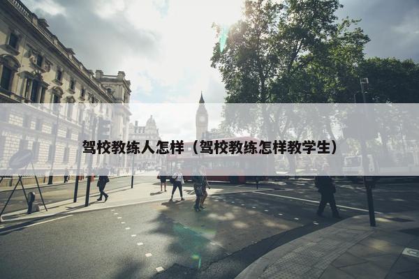 驾校教练人怎样（驾校教练怎样教学生）