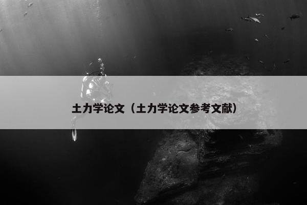 土力学论文（土力学论文参考文献）